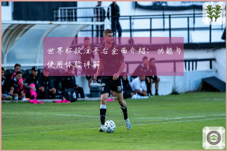 世界杯投注平台全面介绍：功能与使用体验详解