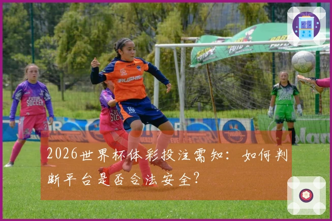 2026世界杯体彩投注需知：如何判断平台是否合法安全？