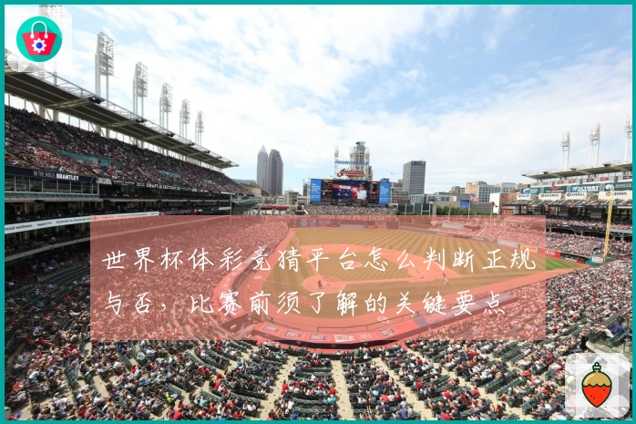 世界杯体彩竞猜平台怎么判断正规与否，比赛前须了解的关键要点