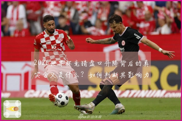 2026世界杯竞猜盘口升降背后的真实含义是什么？如何判断其影响力？