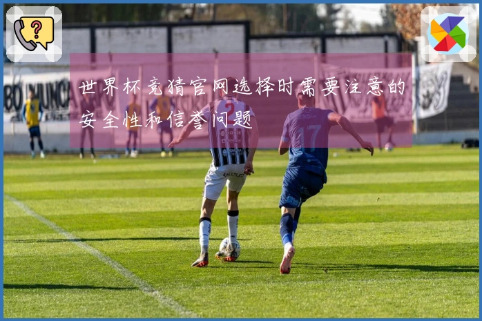 世界杯竞猜官网选择时需要注意的安全性和信誉问题