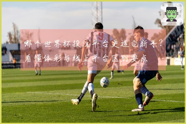 哪个世界杯投注平台更适合新手？看懂体彩与线上平台区别要点
