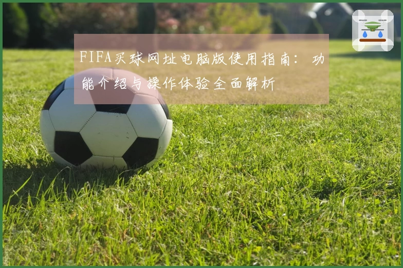 FIFA买球网址电脑版使用指南：功能介绍与操作体验全面解析